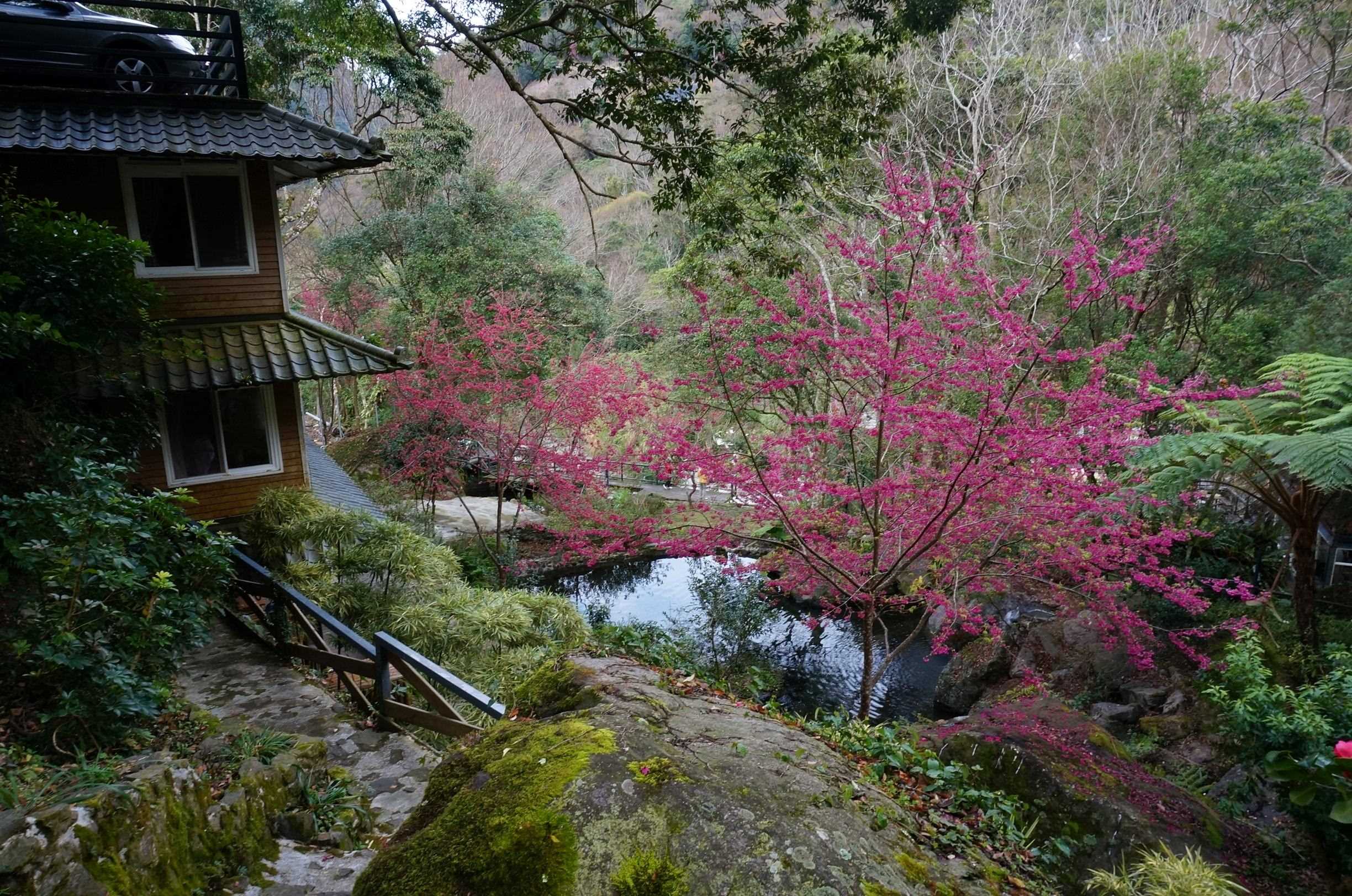 福緣山莊照片系列，第4張