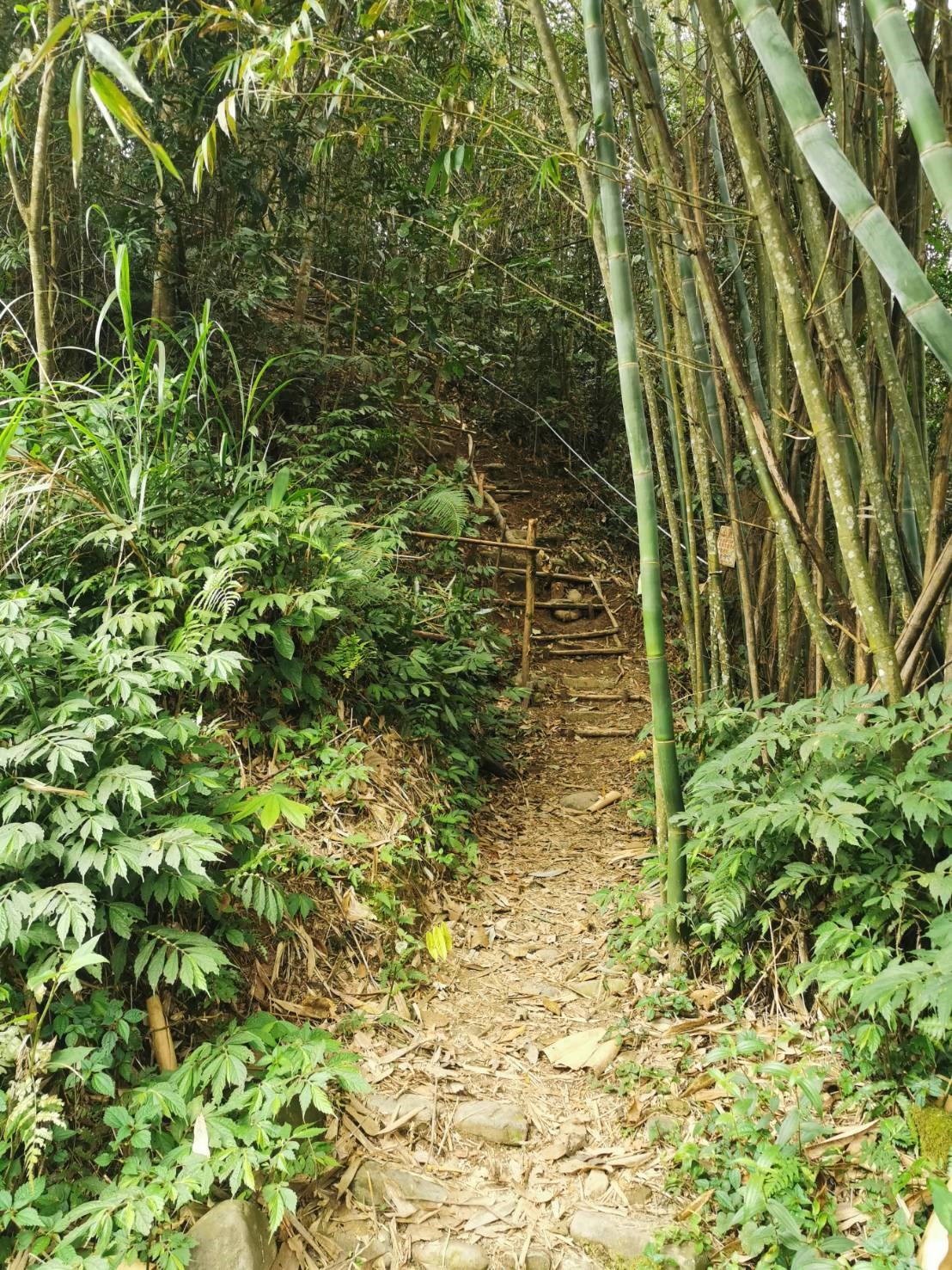 淇岄莊園照片系列，第4張