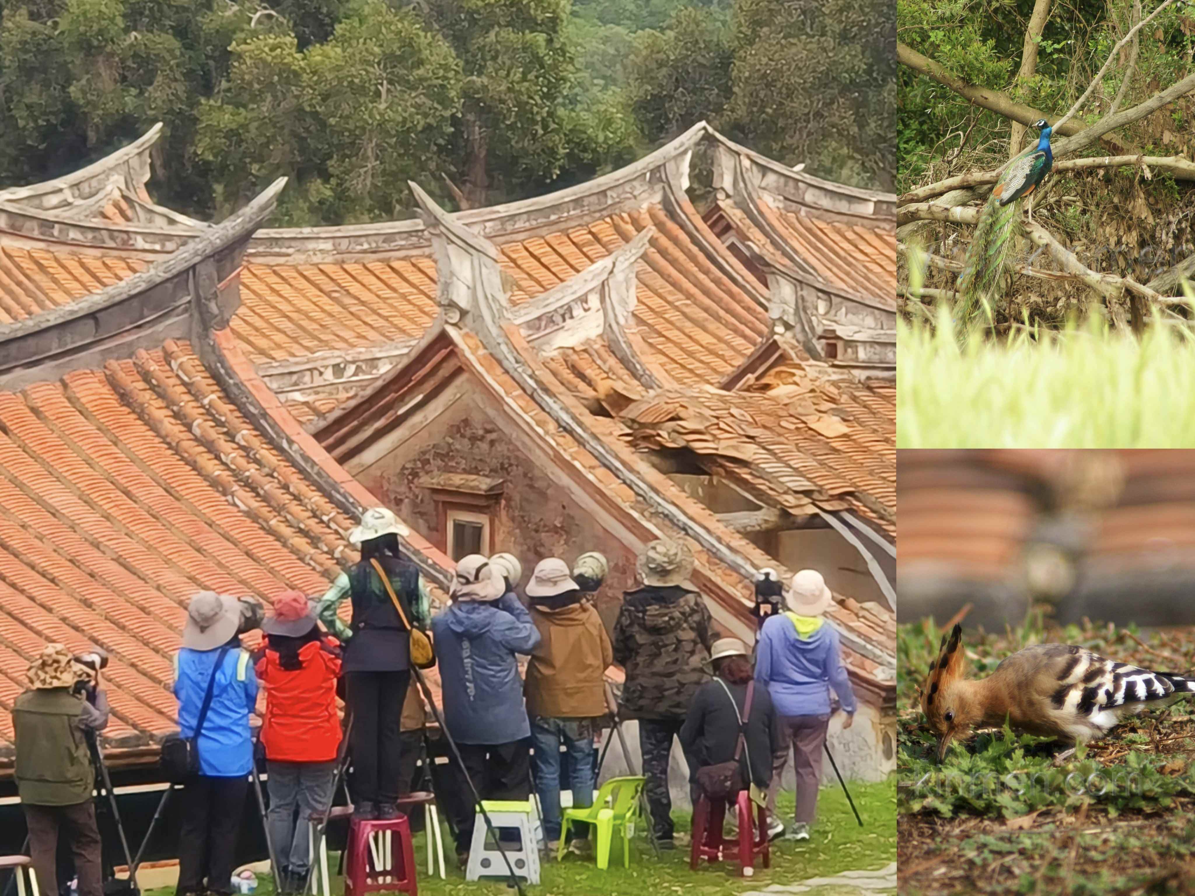 忘了飛羽居照片系列，第4張