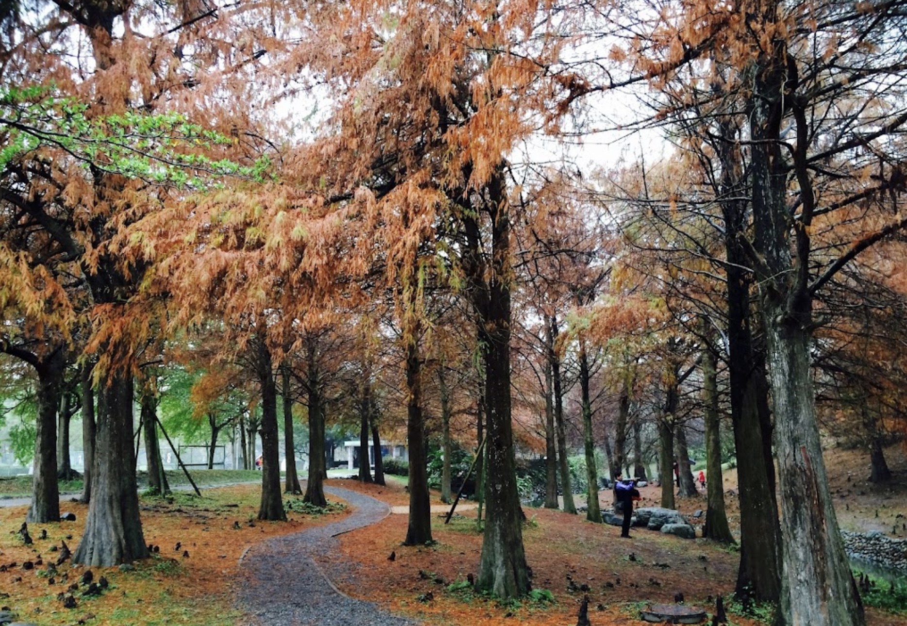 公園６１號民宿照片系列，第4張