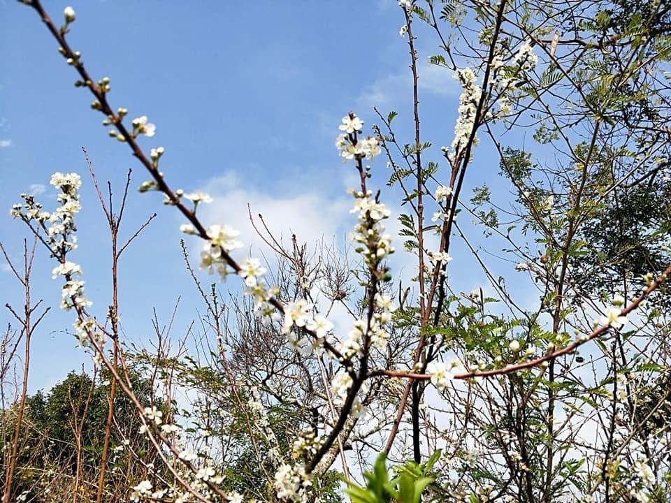 綠意山莊民宿照片系列，第6張