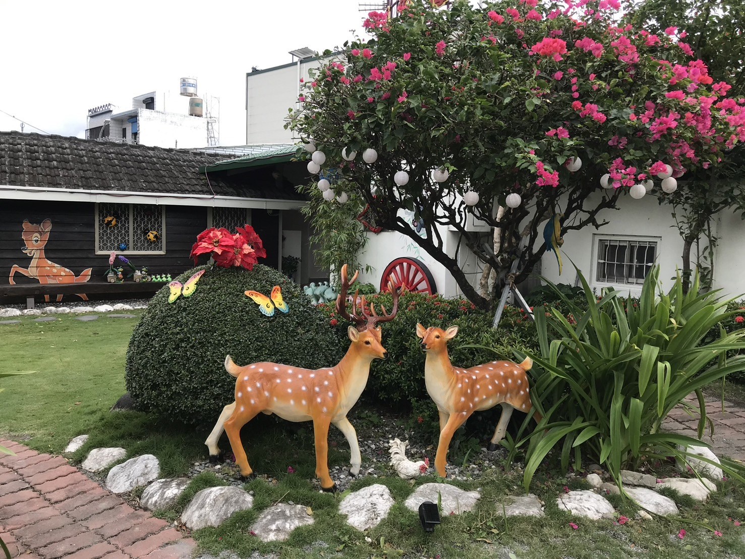 梅花鹿庭園民宿照片系列，第2張