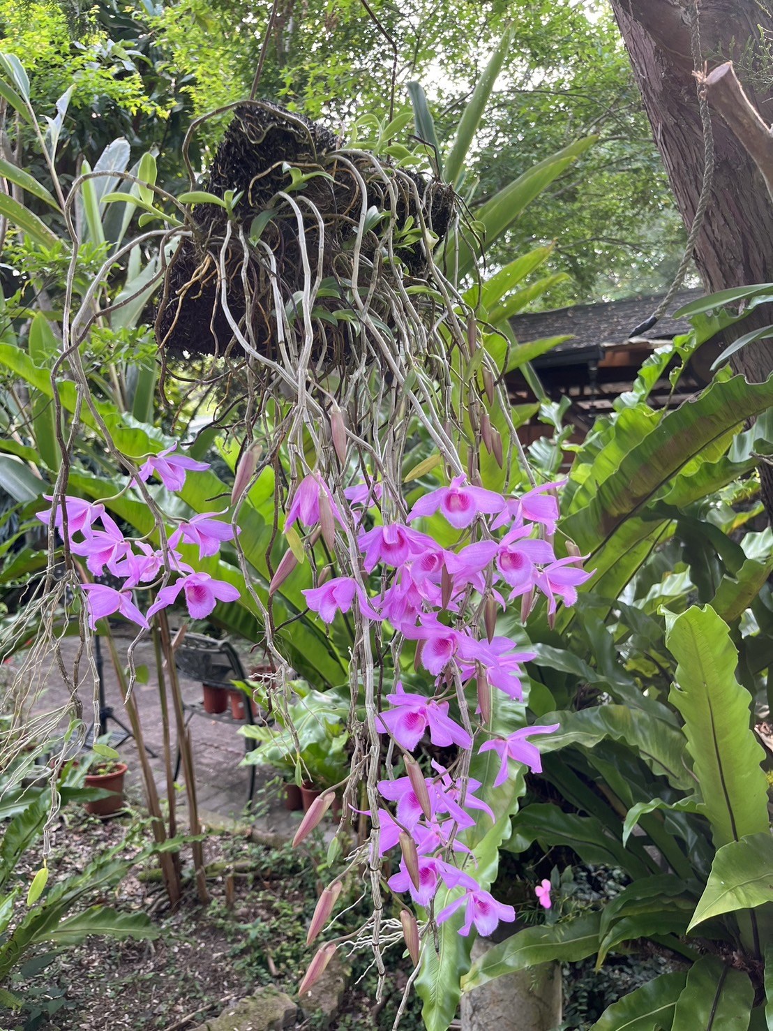 木佃軒民宿照片系列，第4張