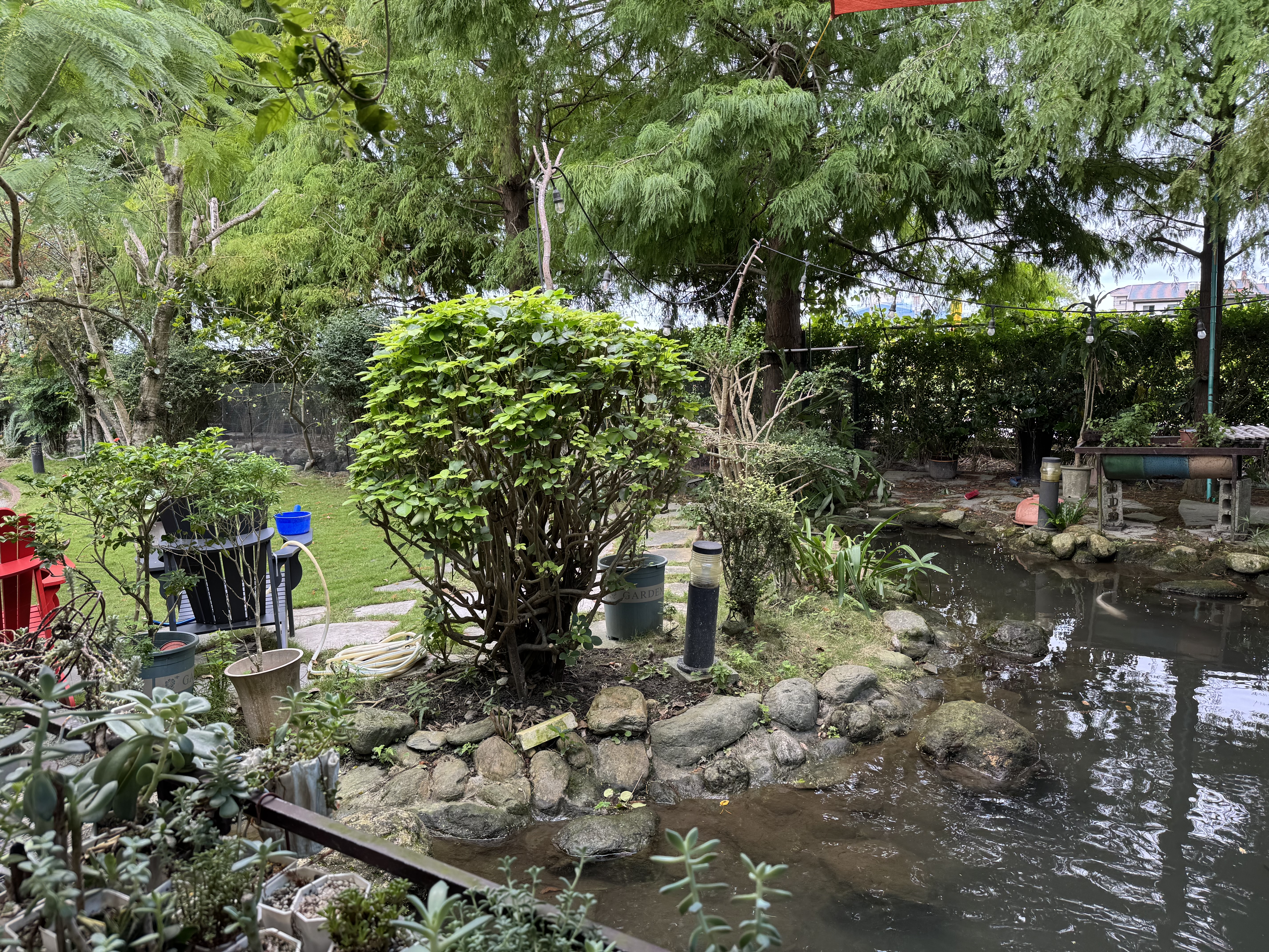 思森活田園民宿