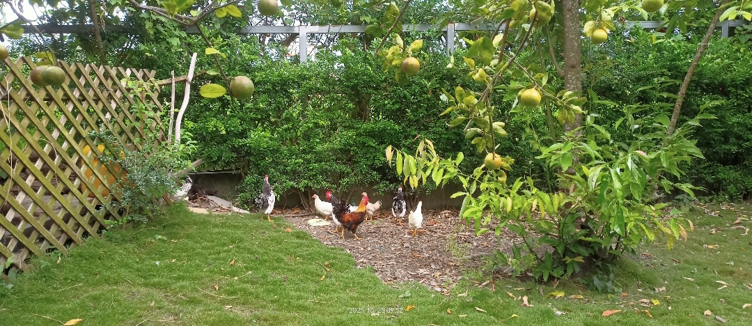 思森活田園民宿