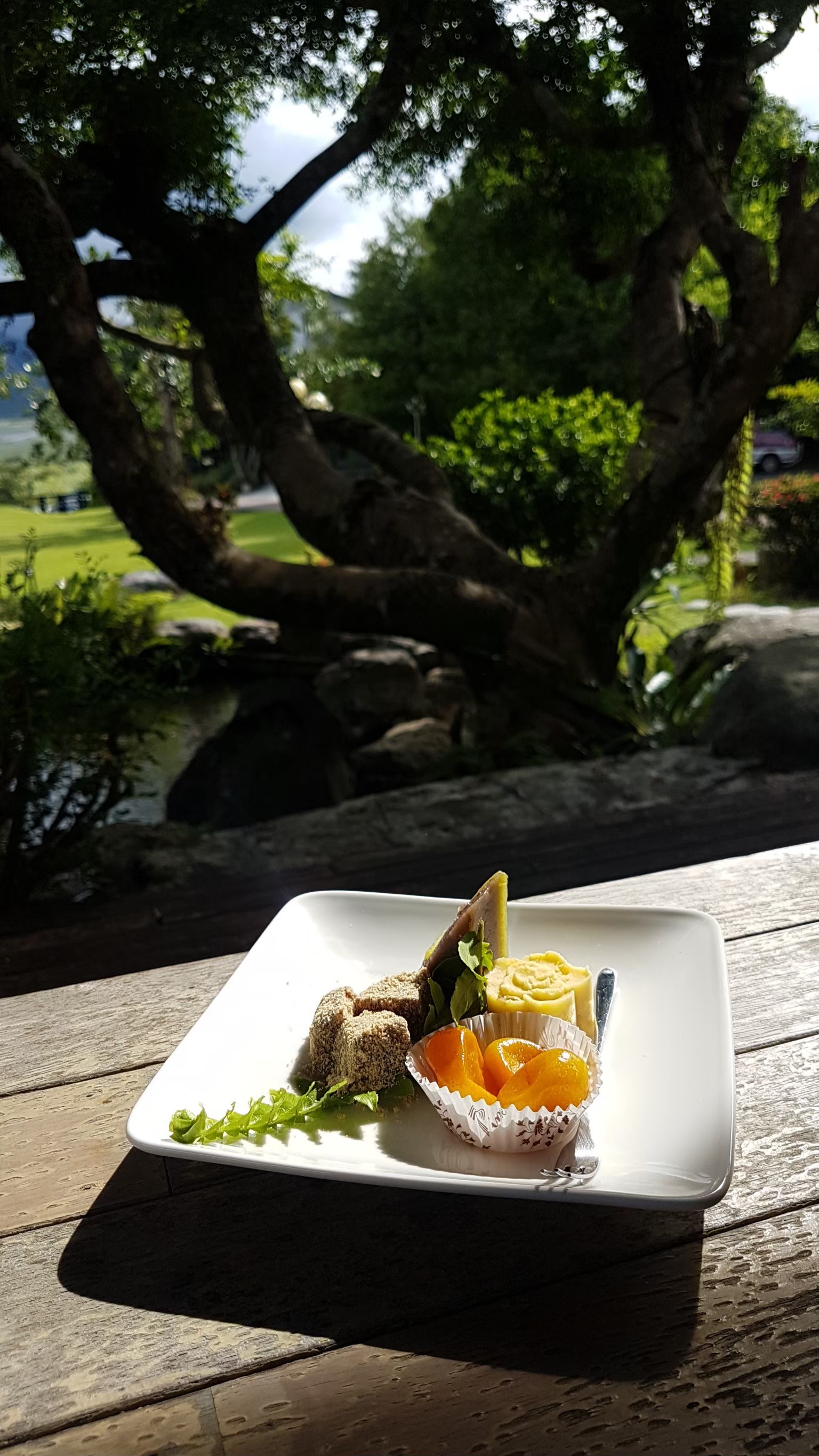 逢春園渡假別墅（ＳＰＲＩＮＧ ＶＩＬＬＡ）